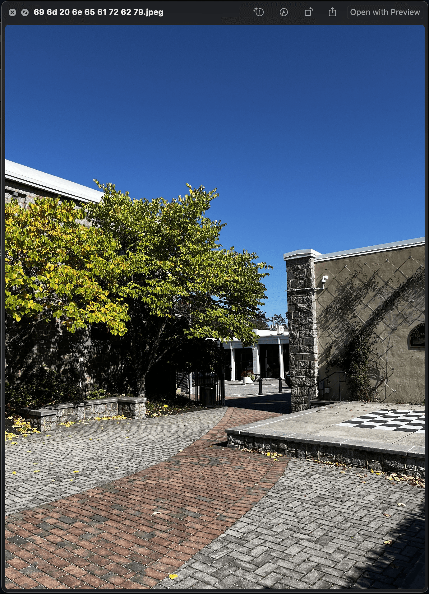 the image after being converted to a jpeg